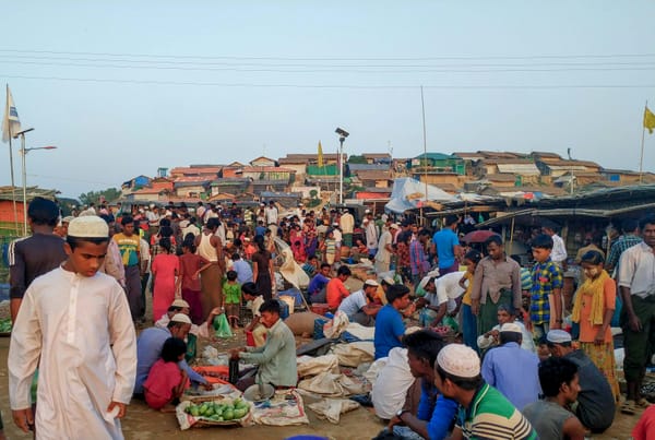 The Boomerang Model: How Transnational Advocacy Networks respond to Rohingya Crisis